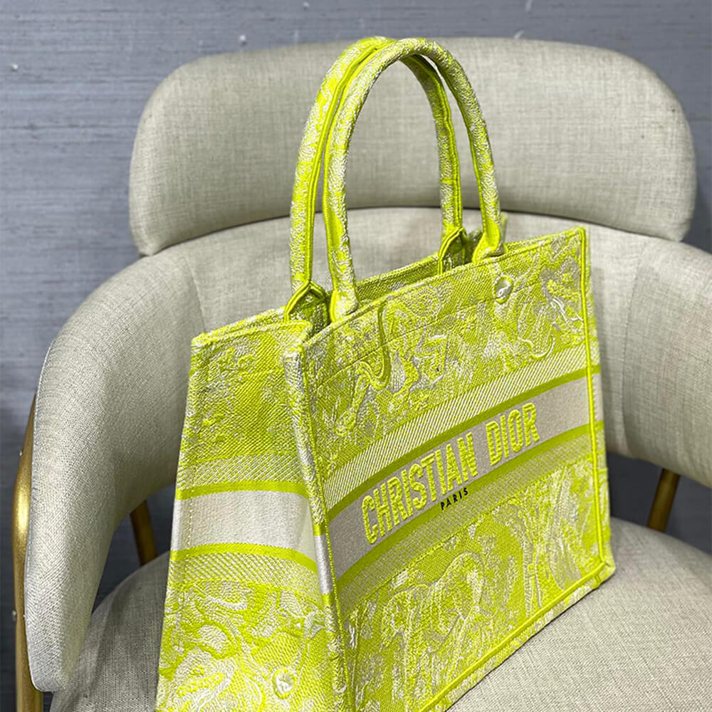 SMALL D10r BOOK TOTE